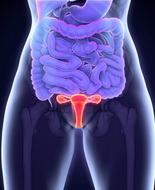 Un’infezione persistente da Hpv aumenta il rischio di tumori anali e genitali